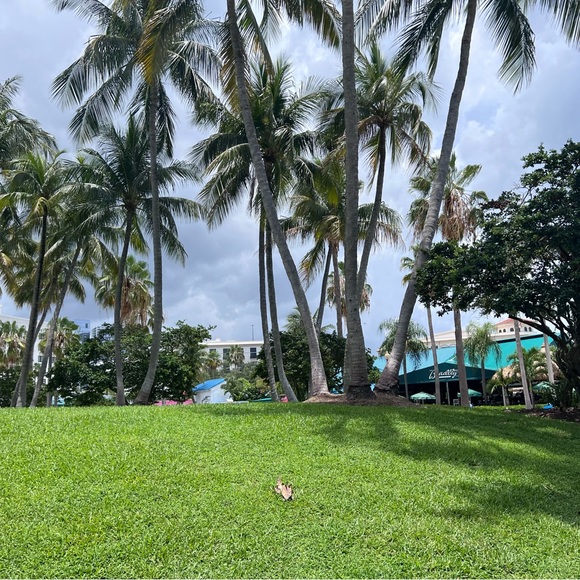 Meet your Posher, Diane - Picture 1 of 1